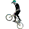 bmx