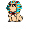 Pharaon Carlin Chien Cadeau Carlins