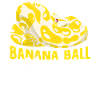 Banana Ball Python Flüsterer