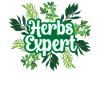 Herb Expert Herb Herb Garden
