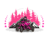 Quad ATV Offroad Quadfahrer