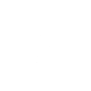 Snapping Turtle - Turtle