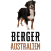 Australian Shepherd dog breed