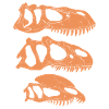 Torvosaurus Allosaurus Dilophosaurus