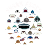 Types Of Shark Faces. Shark Face Identification