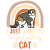 Mignon Scottish Fold Cat Mama Scottish Folding Ear