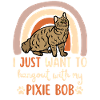 Süße Pixie Bob Katze