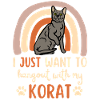 Cute Korat Cat