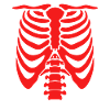 Halloween Costume Skeleton