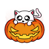 Chat Citrouille Halloween