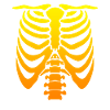 Halloween Costume Skeleton