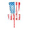 Disc-golf-fangkorb Usa-flagge