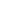 Did anyone bring a disc?
