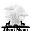 Silent Moon