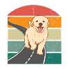A cute dog.