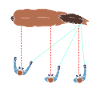 Chevaux de voltige équestre