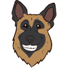 German Shepherd - Head