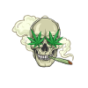 Cannabis
