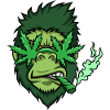 Cannabis
