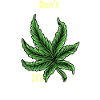 Cannabis