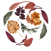Fall Leaves