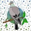 Oiseau