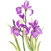 Blumen