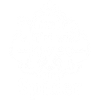 Tarantula Tarantula Terraristics Amphibian Spider
