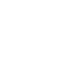 Lawyer