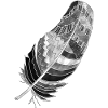 Feather