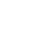 Future Lawyer