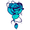 Rose turquoise