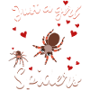 Tarantula Tarantula Terraristics Amphibian Spider