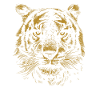Tiger Sketch