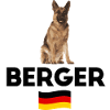 German Shepherd Dog Breed