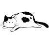 Chat Nope