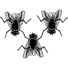 Team 3 Friends Houseflies