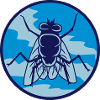 Circle housefly small house fly