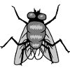 Small House Fly Insect Design
