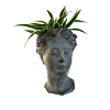 Head