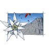 Gentian Flyer