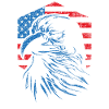 USA Eagle Flag