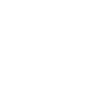 I love dolphins dolphin