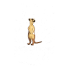 Meerkat Gift Meerkat
