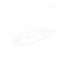 Surf DInosaur Surfer