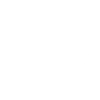 Software Developer - Coding