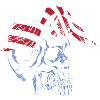 skull eagle