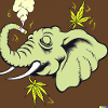 Weed smoking elephant