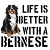 Berner Sennenhund