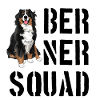 Bernese Mountain Dog
